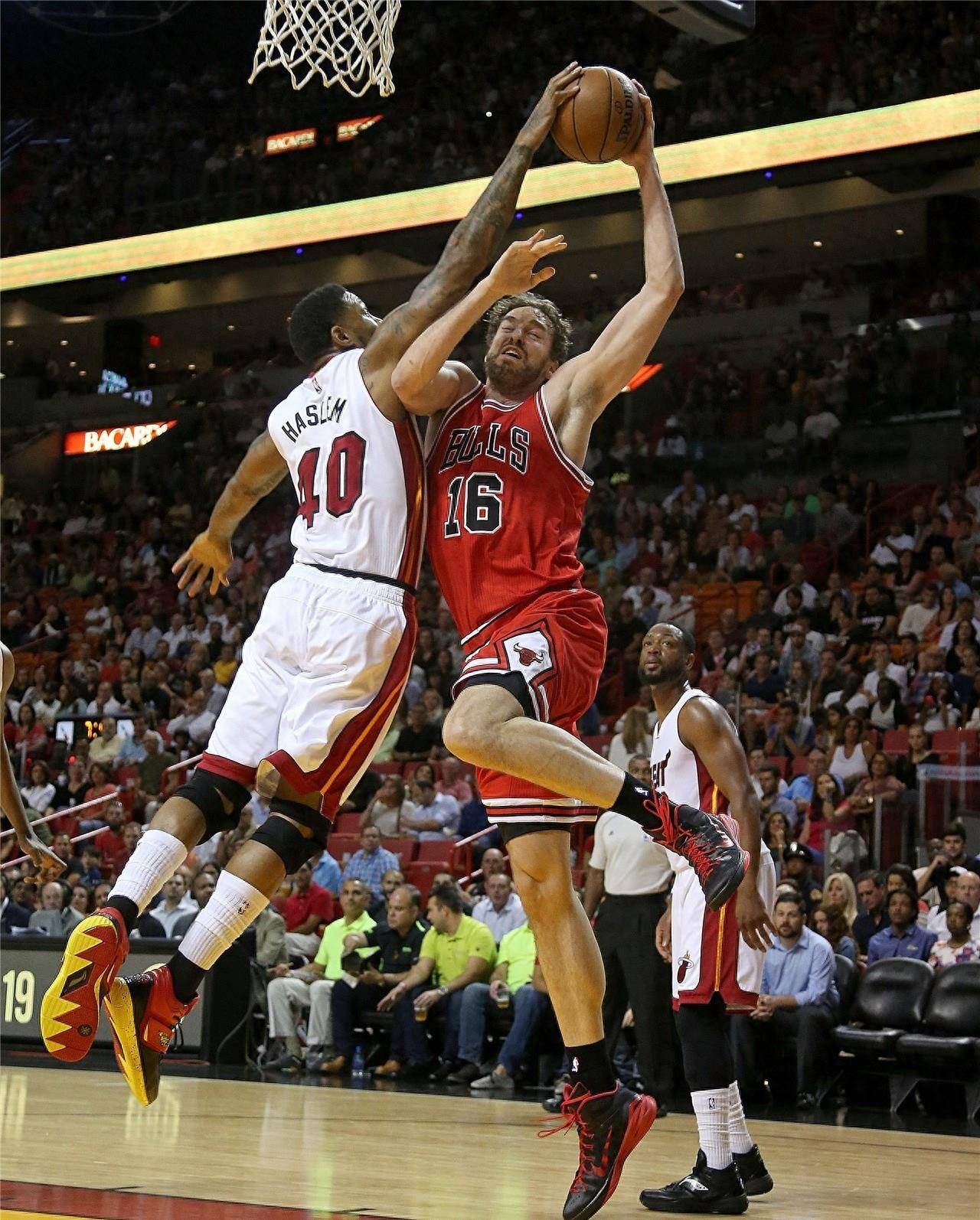 尼亚未归队 尼亚未归队