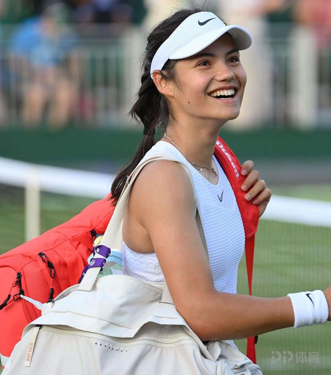 但圣保利的 但圣保利的